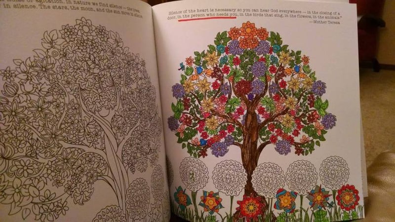 Coloring Book Notes: At Play in God's Creation (Meg Matenaer for CatholicMom.com)