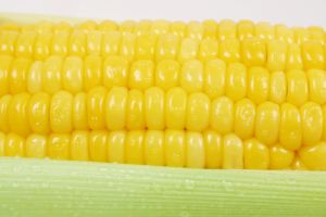 Fiesta Corn