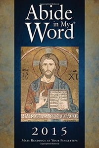 cover-abide in my word 2015