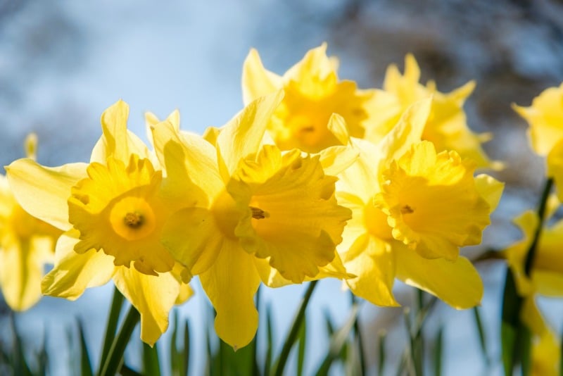 "In celebration of newness of life" Unbound (CatholicMom.com)