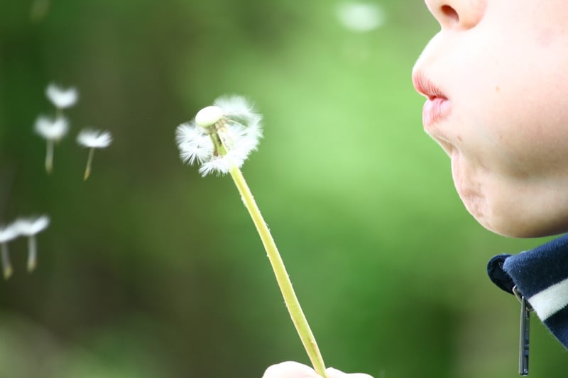"Kids: Images of Perfection, Portals of Grace and Hot Messes" by Christina Nagy (CatholicMom.com)