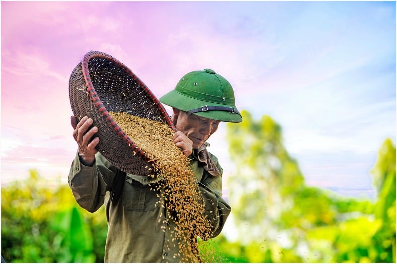 "The double message of the parable of the sower and the seed" by Dr. Marcellino D'Ambrosio (CatholicMom.com)