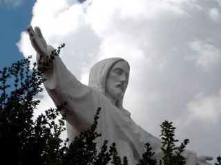I'm Catholic, Now What?