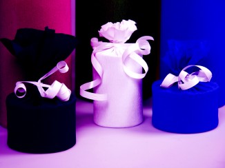 Image morguefile.com