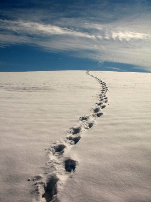 Following Jesus