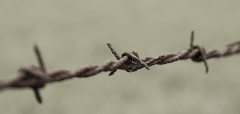 "The Euthanasia Apple" by Jane Korvemaker (CatholicMom.com)