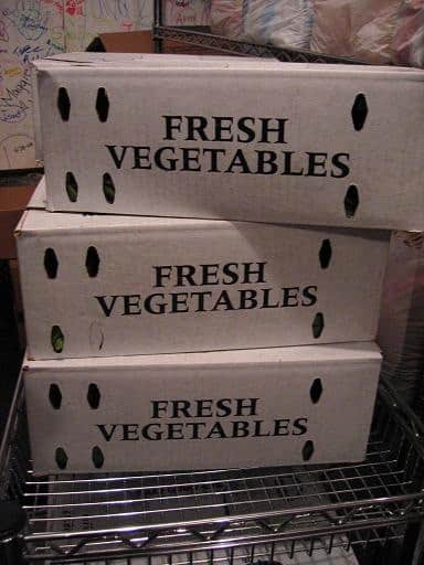 fresh vegetables