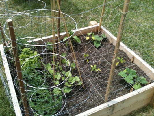 garden