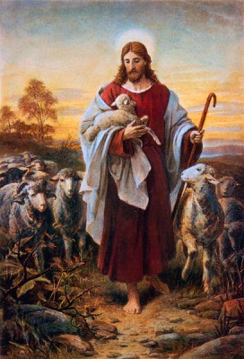 Daily Scriptures Reflection