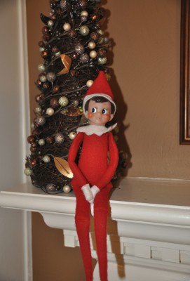 goody the elf