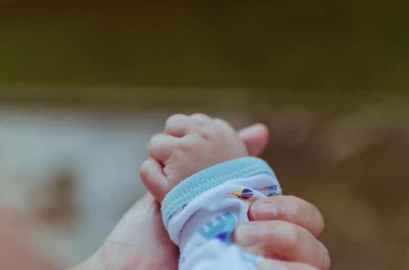 Copyright (2016) by Pexels, CCO.