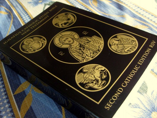 ignatius St. Ignatius Bible Study Series