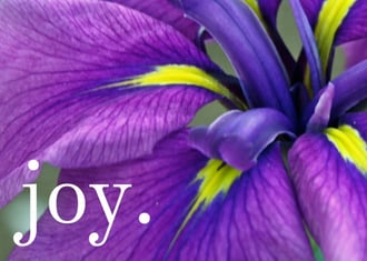 Joy Beyond All Telling