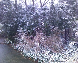 lhd_snow