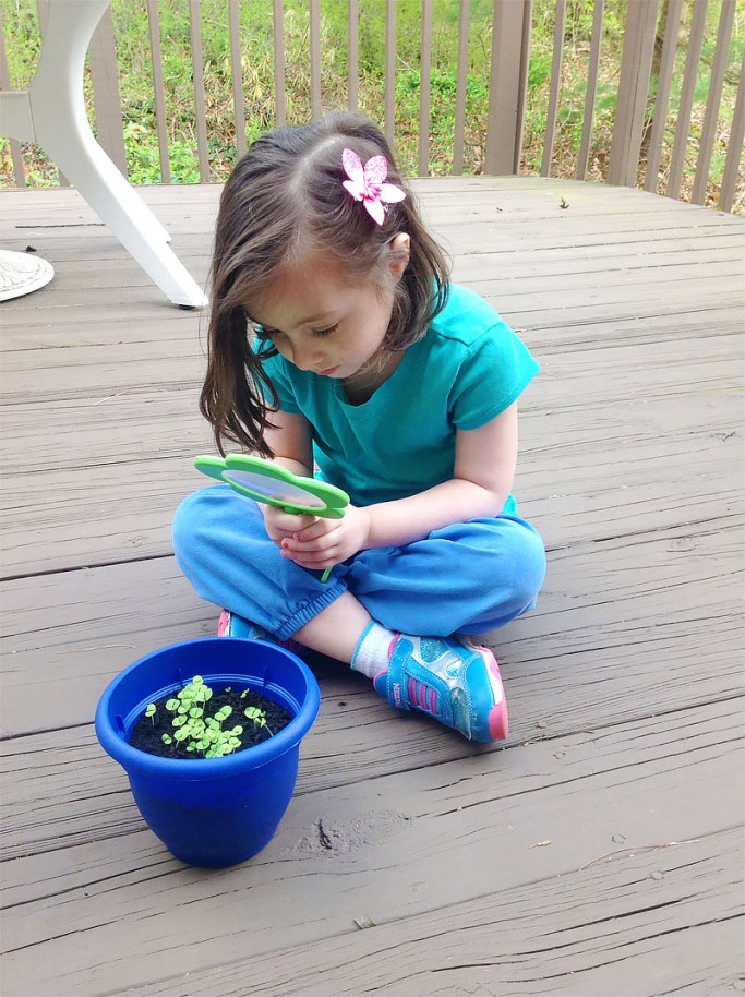 magnifying glass for Jaramillo guest post