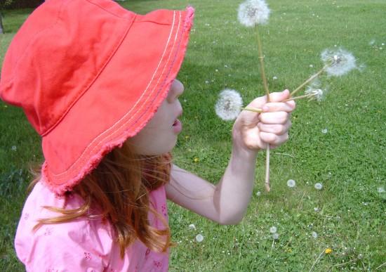 Make A Wish by Brian Stevens (2005) via Freeimages.com