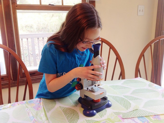 microscope for Jaramillo guest post