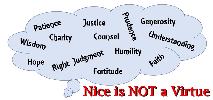 "Nice is Not a Virtue" by Kate Taliaferro (CatholicMom.com)