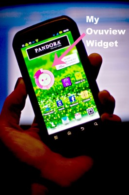 ovuview widget