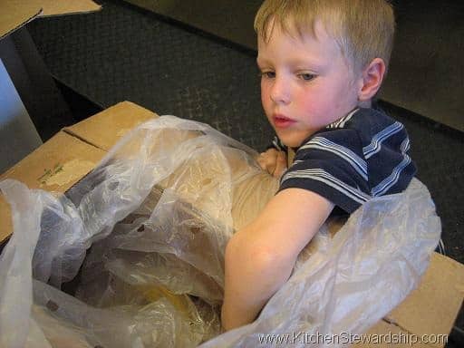 packing bags