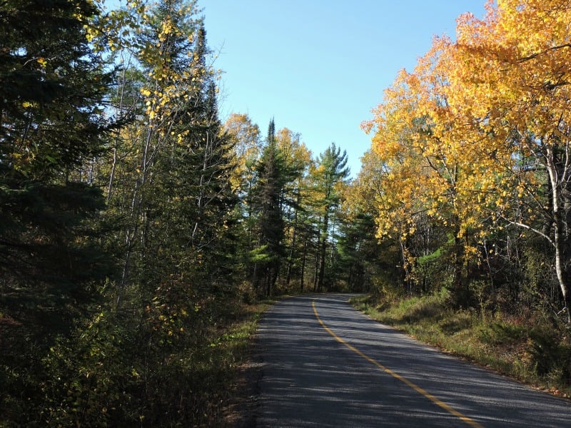 "The Path to Forgiveness" by Ellen Gable Hrkach (CatholicMom.com)