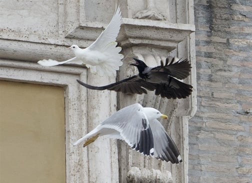 pb-140126-pope-doves-nj-04.photoblog900