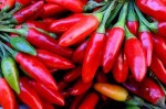 peperoncino2
