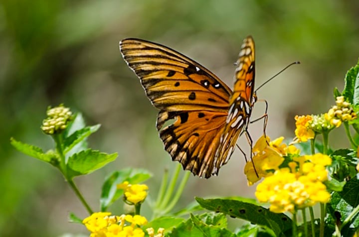 "The Healing Power and Victory of Embracing Change" by Judy Klein (CatholicMom.com)
