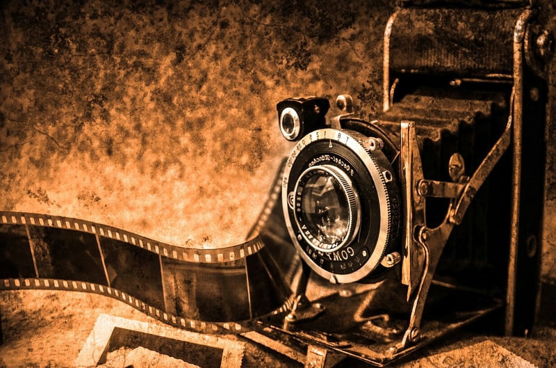 "The face of Jesus in a tree in an old photograph" by Cathy Baugh (CatholicMom.com)