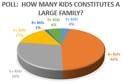 "What is a LARGE Family?" by Kate Daneluk (CatholicMom.com)