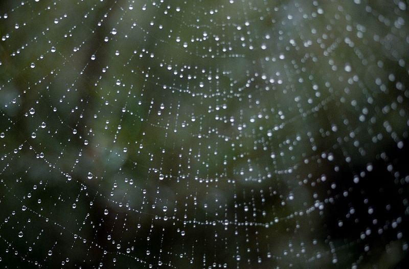 "Puddles, rain and Christ's divine help" by Ebeth (CatholicMom.com)