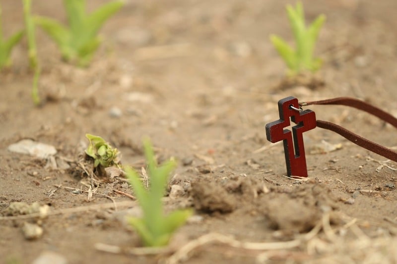 "Re-Occurring Resurrection" by Jason Weirich (CatholicMom.com)