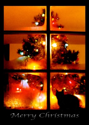 real meaning of christmas lights