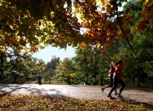 10 Quick Workout Tips for the Season