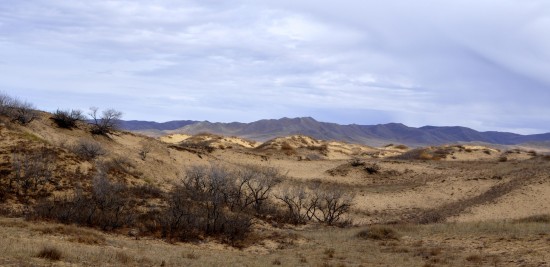 sand dunes