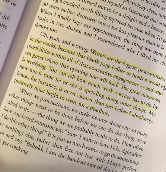 Excerpt from "Little Sins Mean a Lot: Kicking Our Bads Habits Before They Kick Us" by Elizabeth Scalia
