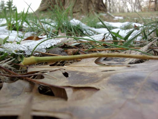 seasons of change