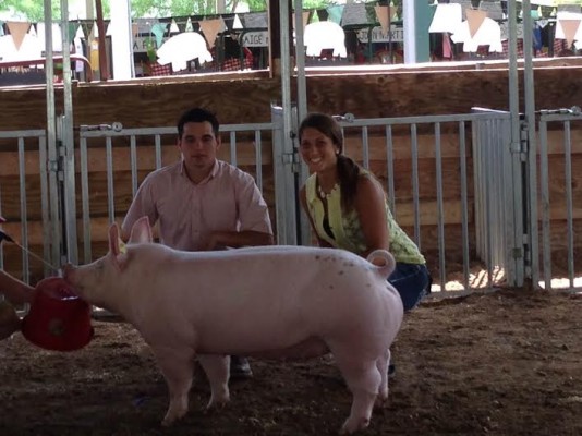 shannonpig