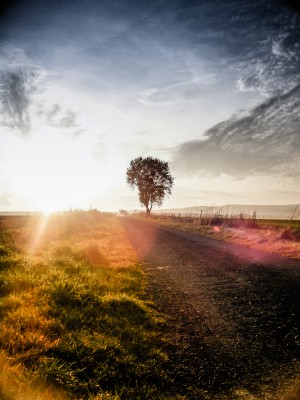 Mental Health Requires Discipline and Silence