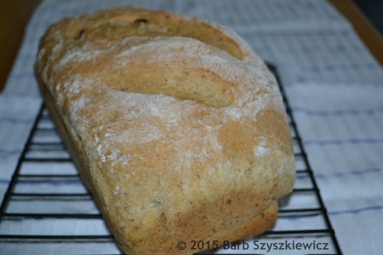 spent grain bread (3)c