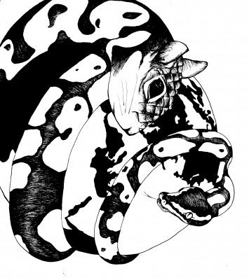Illustration by Ana Maria Rocha