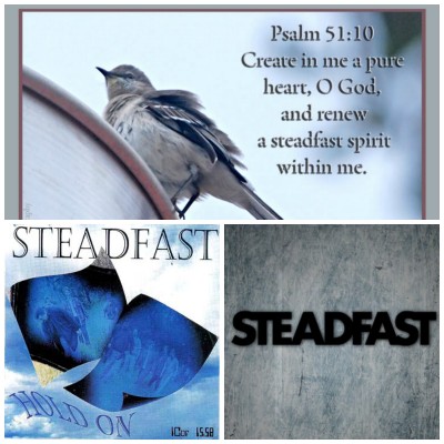 steadfast collage