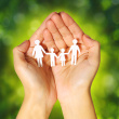 stock-photo-36814094-paper-family-in-hands-over-green-sunny-background-family-concep