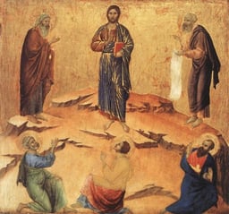 transfig duccio