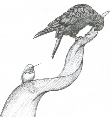 Illustration by Ana Rocha