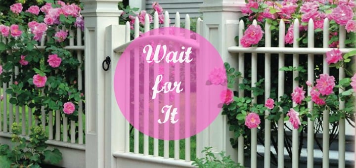 "Wait for It" by Shannon Claire Morelli (CatholicMom.com)