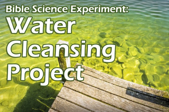 Science Experiment: Water Cleansing Project