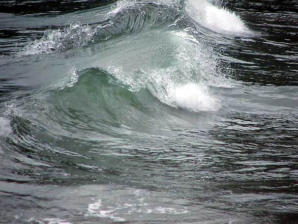 wave-1197127