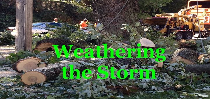 "Weathering the Storm" by Jay Cuasay (CatholicMom.com)