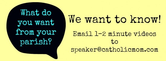 what do you want from your parish-rect